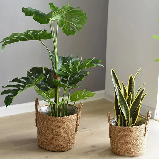 BASKETS-DECORATION-FOR-HOME